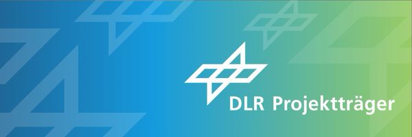 DLR_PT Profile Banner