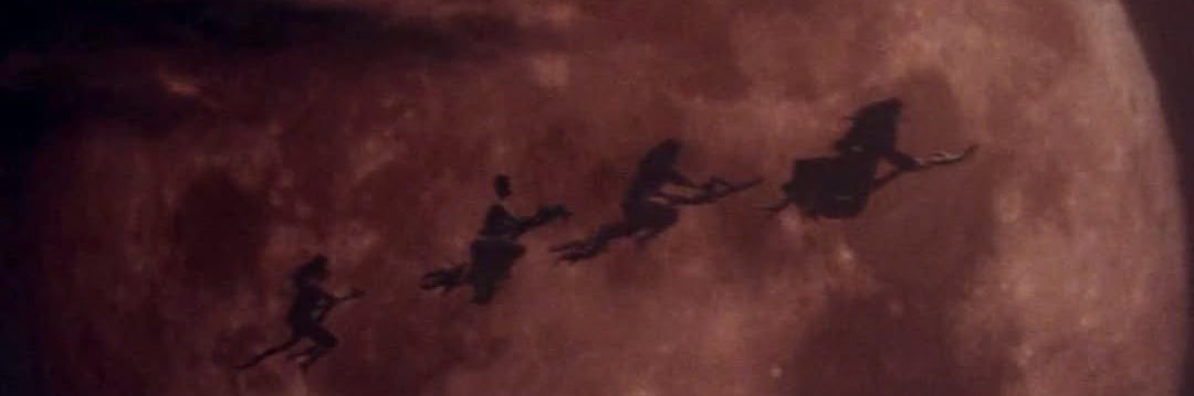 RebeccaFestaa's profile banner image