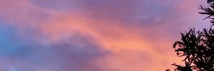 ro_pinee's profile banner image