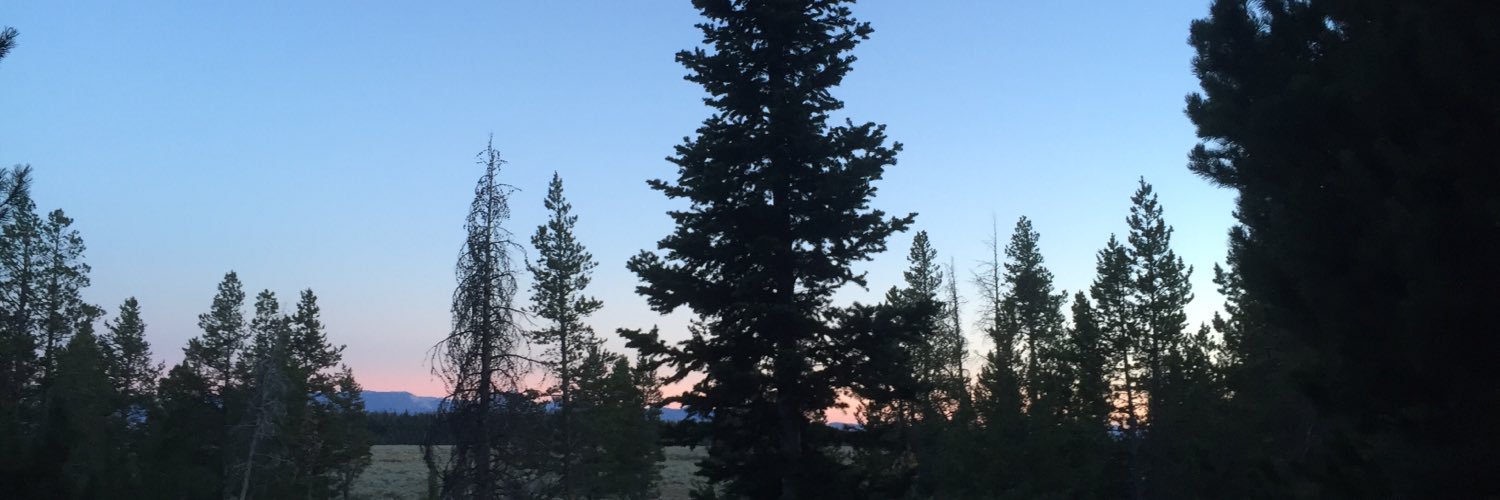 jenn_jonesss's profile banner image