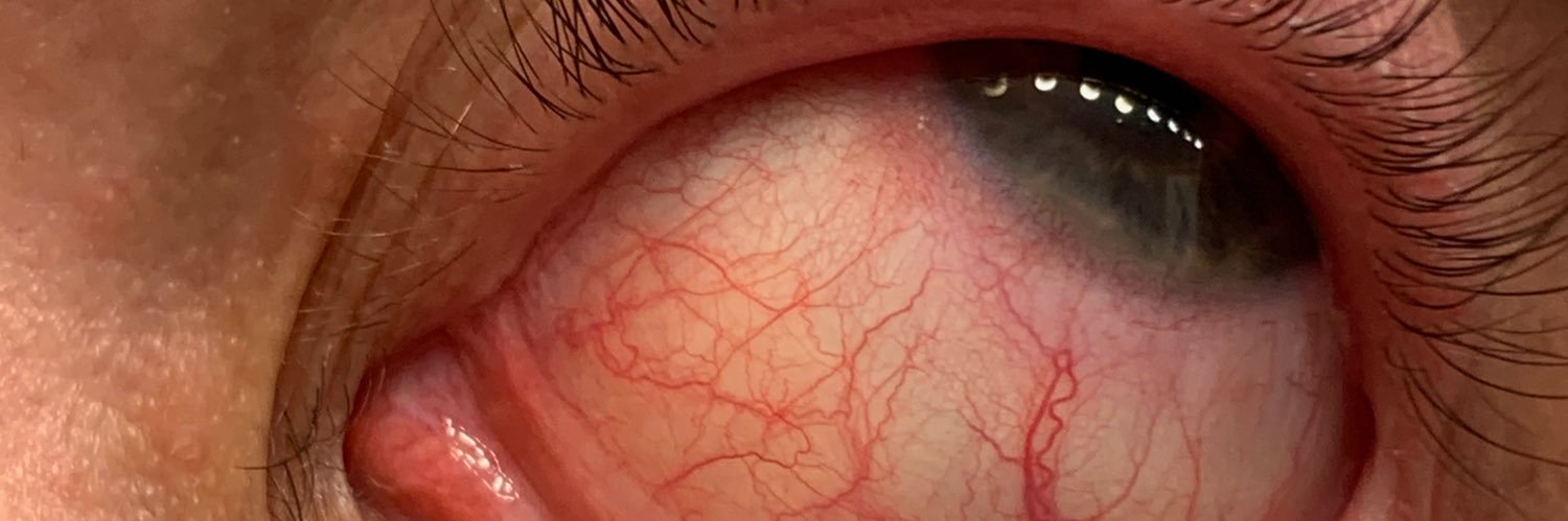 Pedro Couto e Santos banner