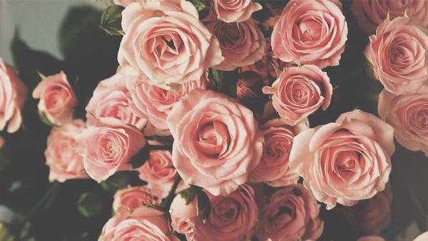 nnarose_'s profile banner image