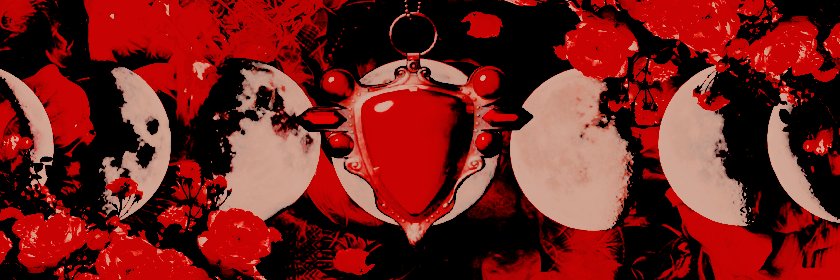 ‍ ‍ ‍ ‍I‍ ‍ CAME‍ ‍ ‍ ‍/‍ ‍ ‍ ‍I‍ ‍ ‍CONQUERED.'s banner