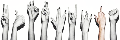 DaniCarolinna's profile banner image