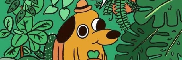 c_kocia's profile banner image