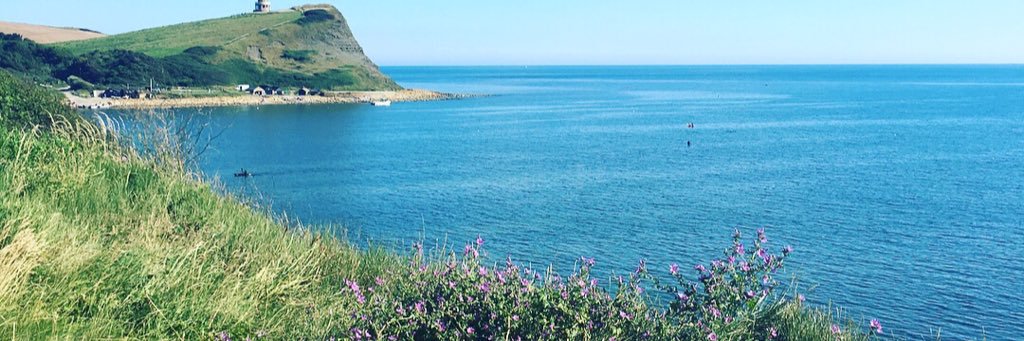 lynzesk's profile banner image