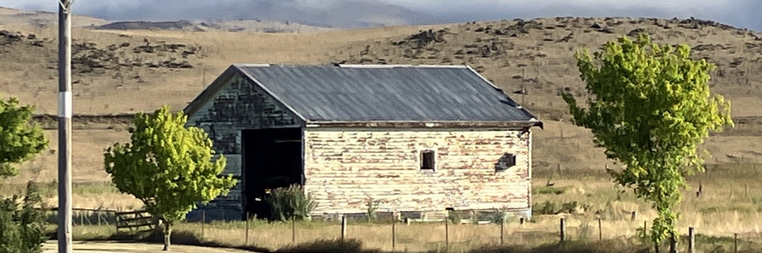 Michael Colhoun banner