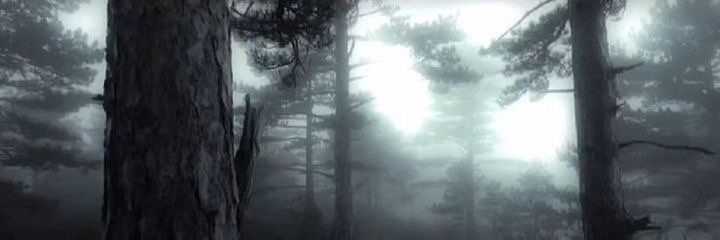 buv 🕷️ banner