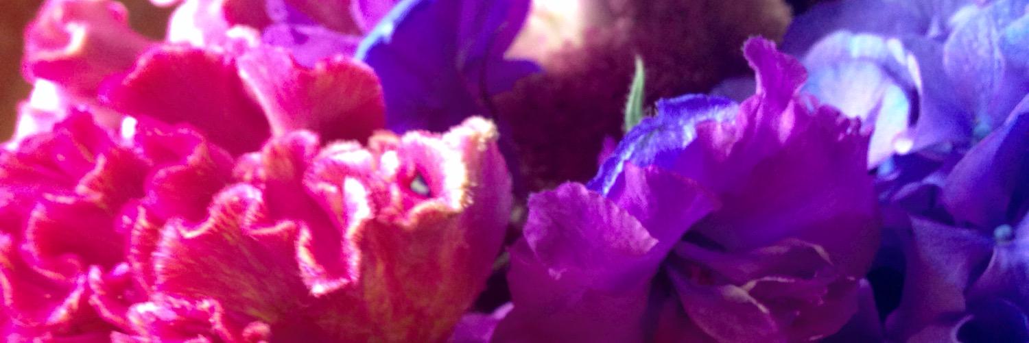 olly77's profile banner image
