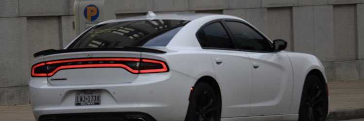 theconchamaster's profile banner image
