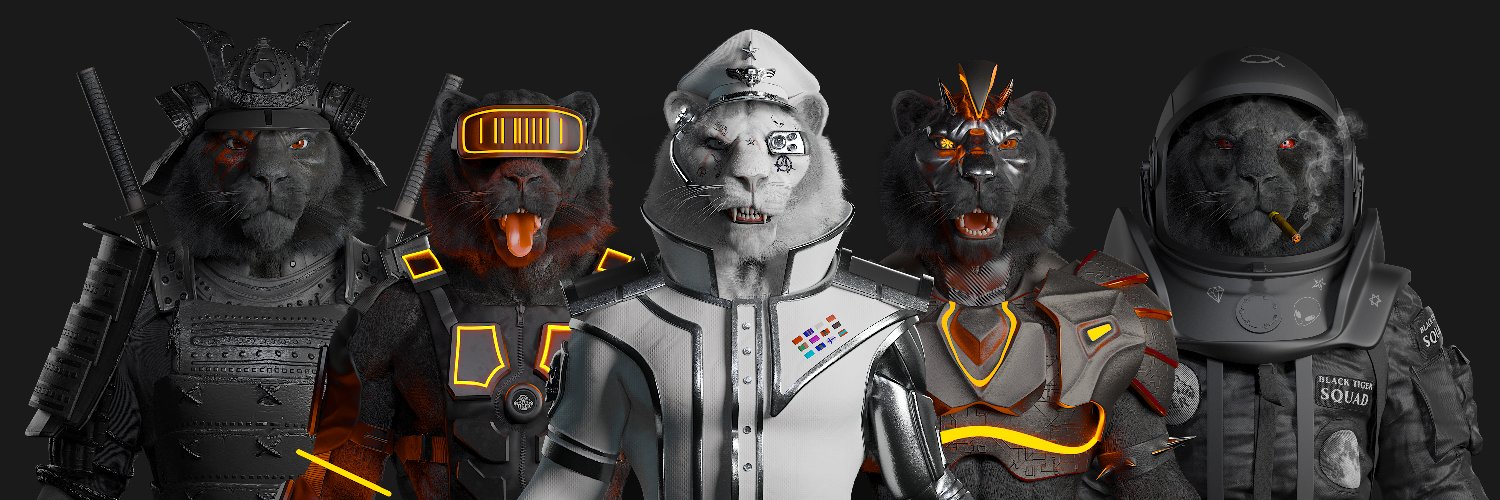 Tiger Flight 739 banner