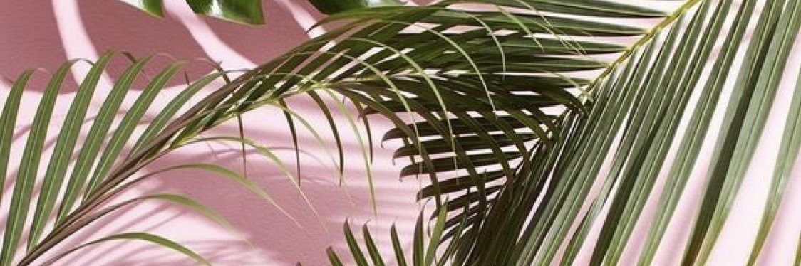 maddyslass5382's profile banner image