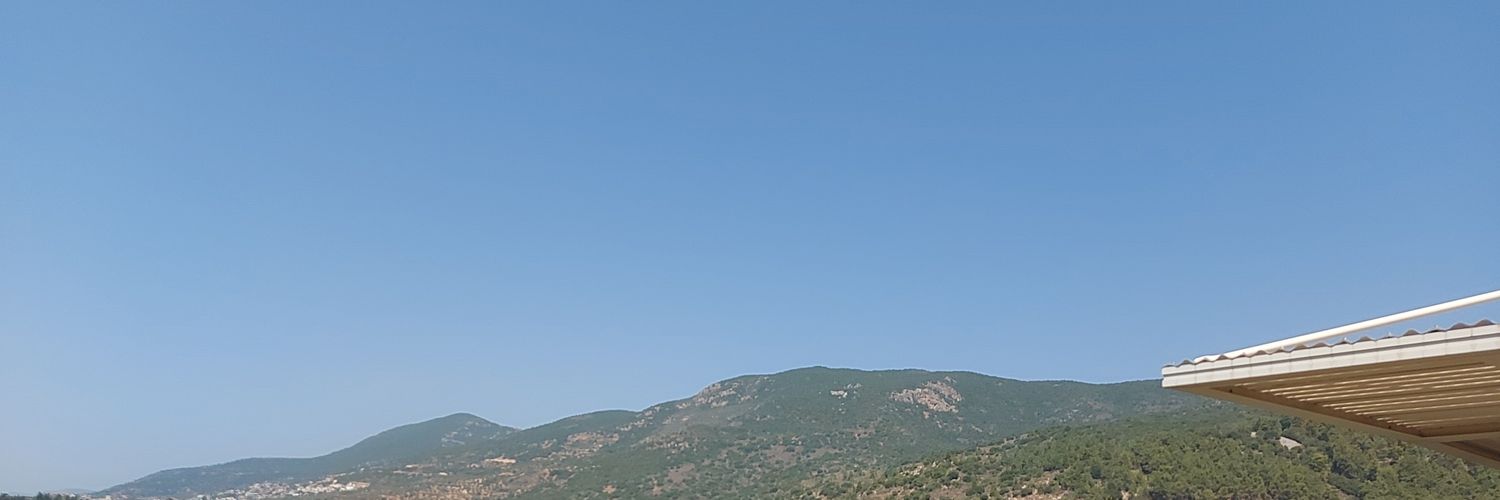 Joe D. Light banner