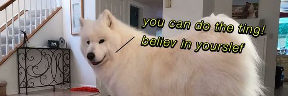 @IavaIsio banner