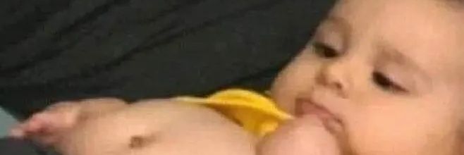 🐻 banner