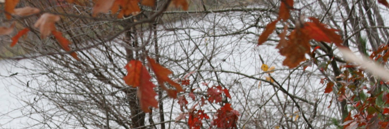 cyr_connor's profile banner image