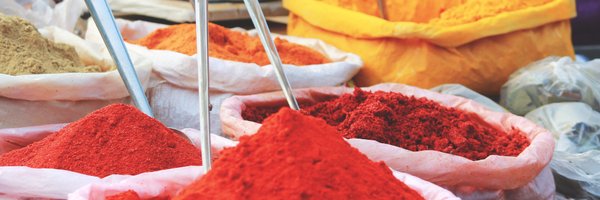 anarghya503 Profile Banner