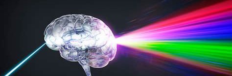 palanopsia's profile banner image