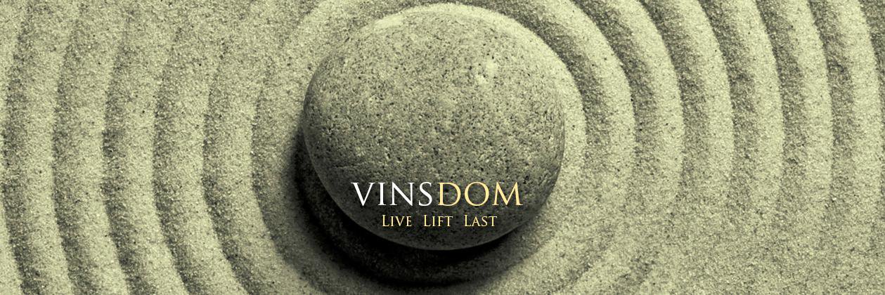 vinsdom's profile banner image