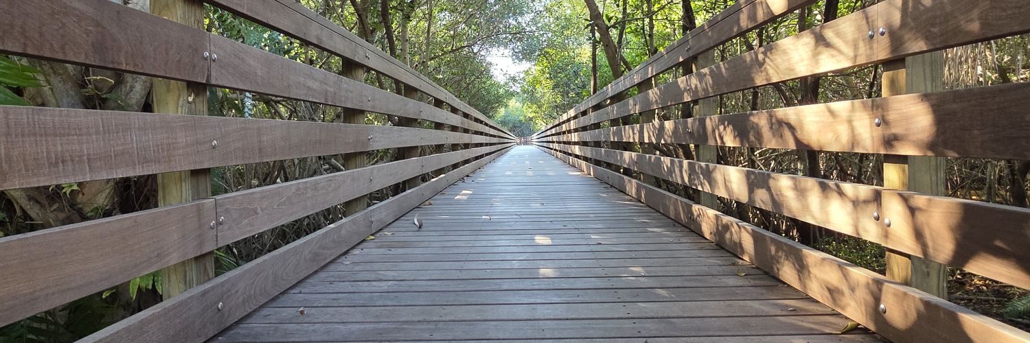 General Shakewell ❁ banner