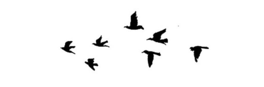 autumnb1999's profile banner image