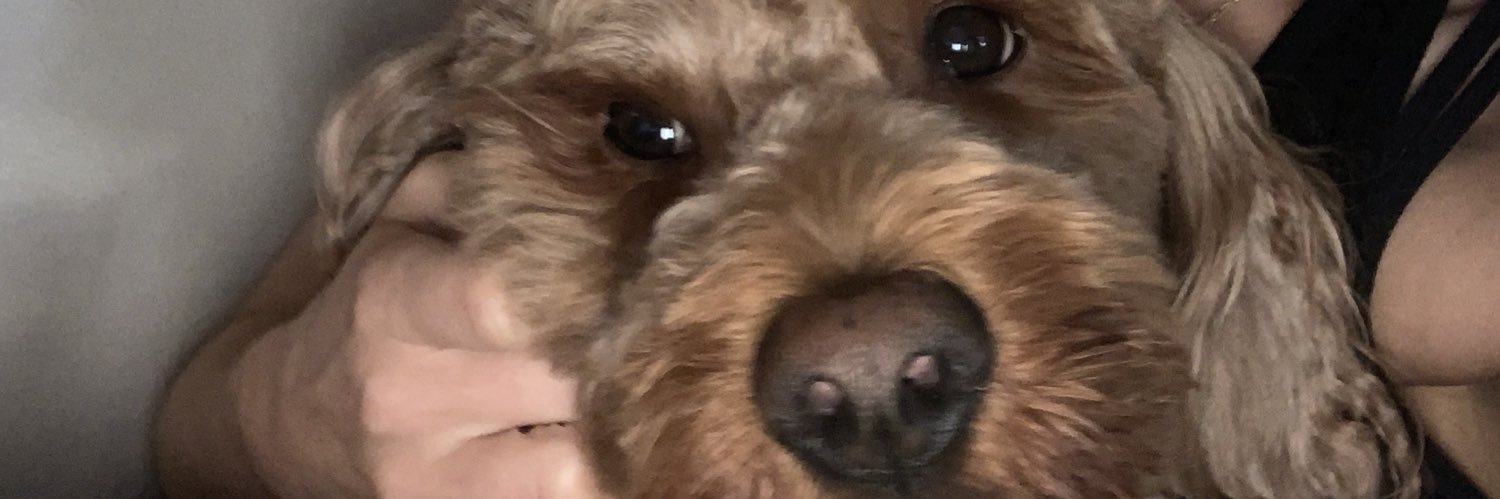 CPoorzzz's profile banner image