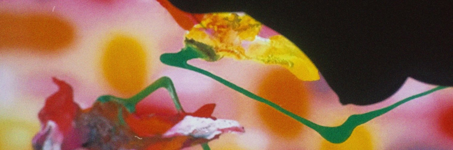 ccamiladee's profile banner image