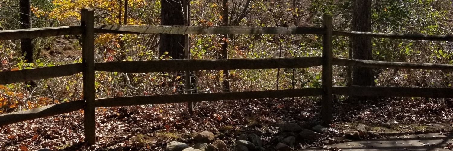 eckweb's profile banner image