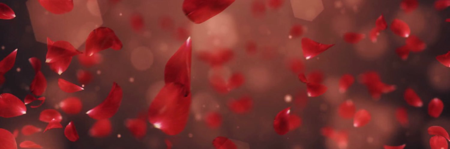samsoom_a's profile banner image