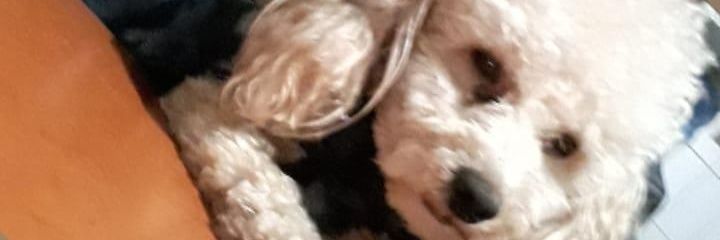 floor_bilello's profile banner image