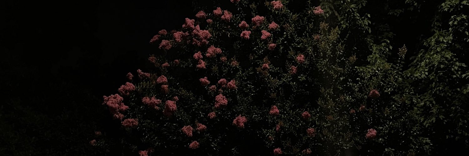 underscore_bee's profile banner image