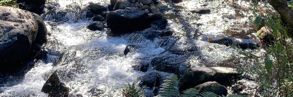 Bombiux868 Profile Banner