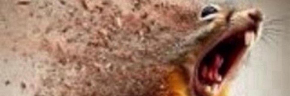cbrowniess's profile banner image