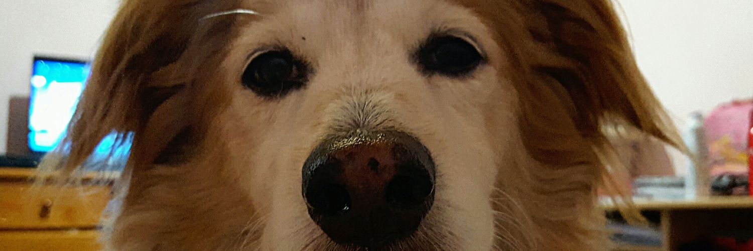 VeronicaYedro's profile banner image