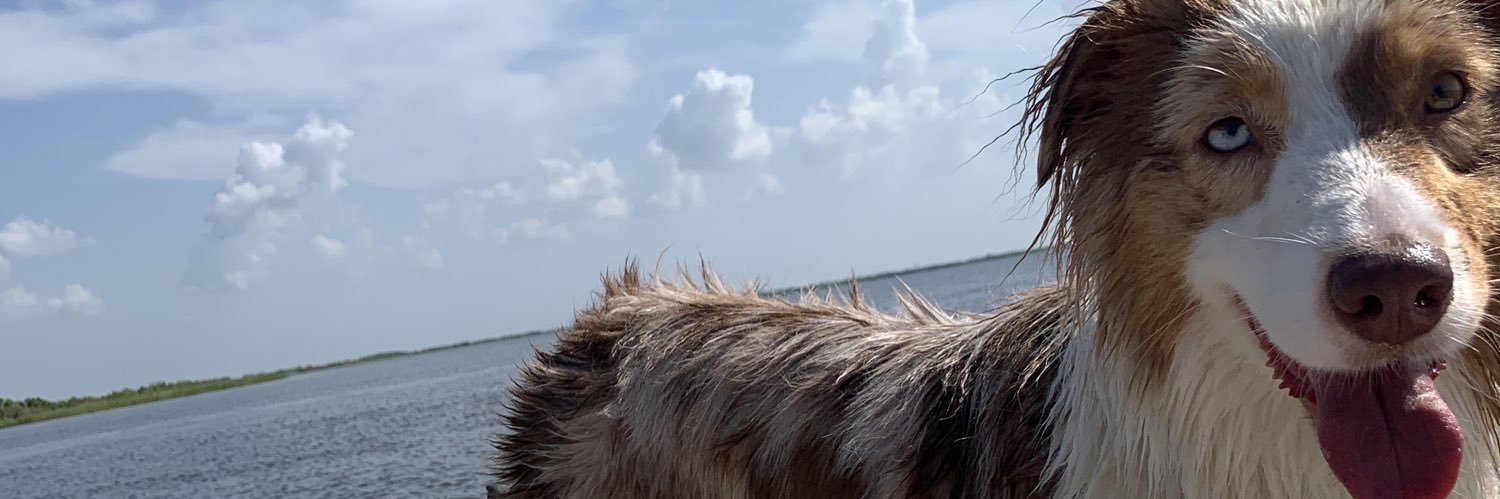 catrae98's profile banner image