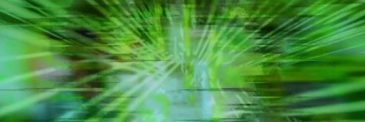 ttayshi's profile banner image