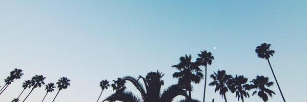 Dypa_99's profile banner image