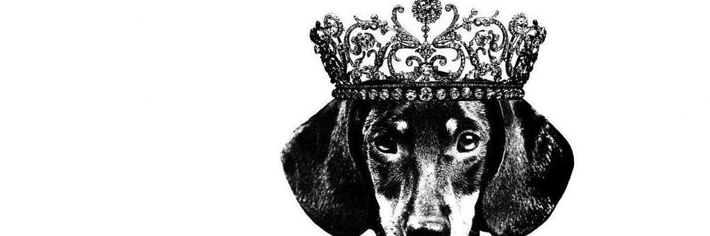 Antonelia_C's profile banner image