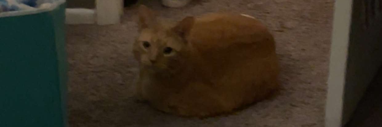 nugget's banner