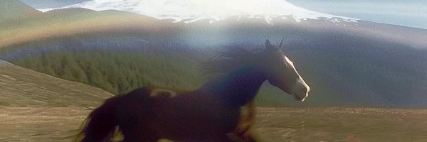 ladvinklein Profile Banner