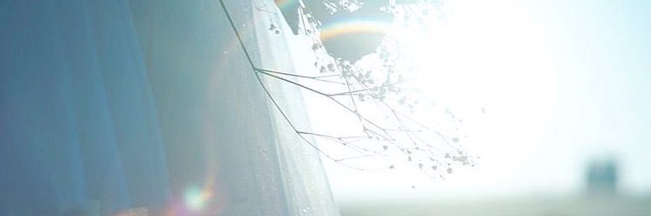 ‎𖦹‎‎ banner