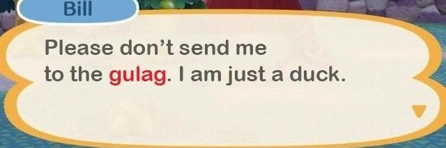 Kolega he/him banner