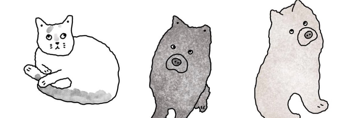 peytoncampp's profile banner image
