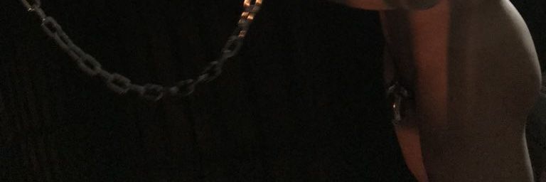 Dogdam91's profile banner image