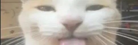 random roleplayers who ( check recent posts ) banner