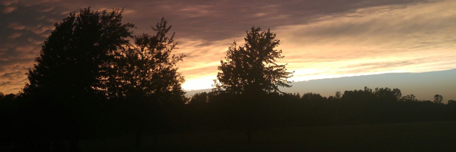 breezy_tree's profile banner image