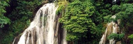 VERONICA KURI banner