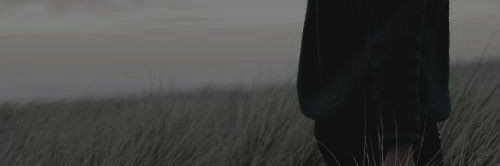 ᏞᎬХ•𝗖𝗮𝗿𝘁𝗲𝗿 banner