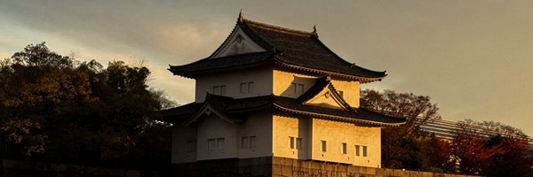 PolarpigNT Profile Banner