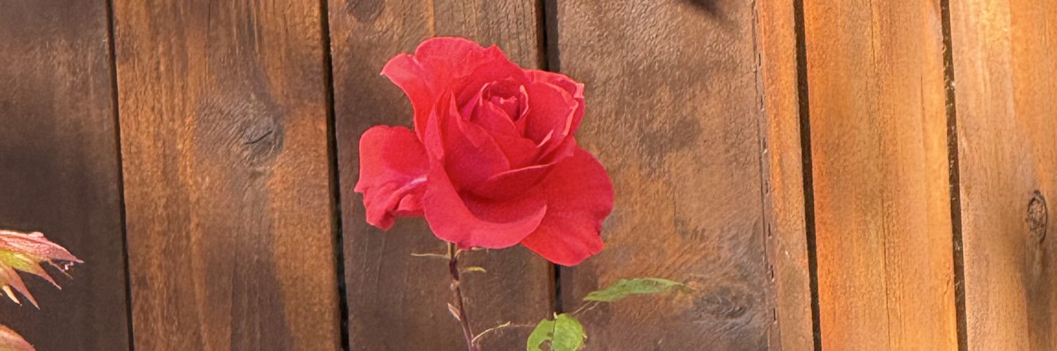 dvfudd09's profile banner image